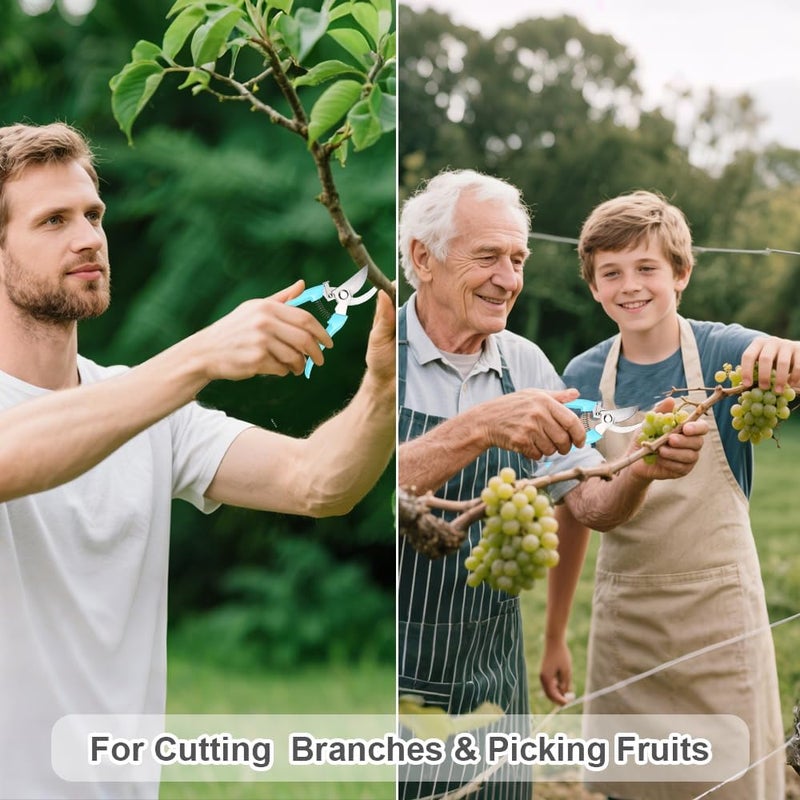 Jkrycyf 2 Pack Pruning Shears, Stainless Steel Garden Shears, Sharp Bypass & Straight Blade Garden Scissors, Comfortable Grip & Safety Lock for Pruning, Cutting and Fruit Picking - Image 5